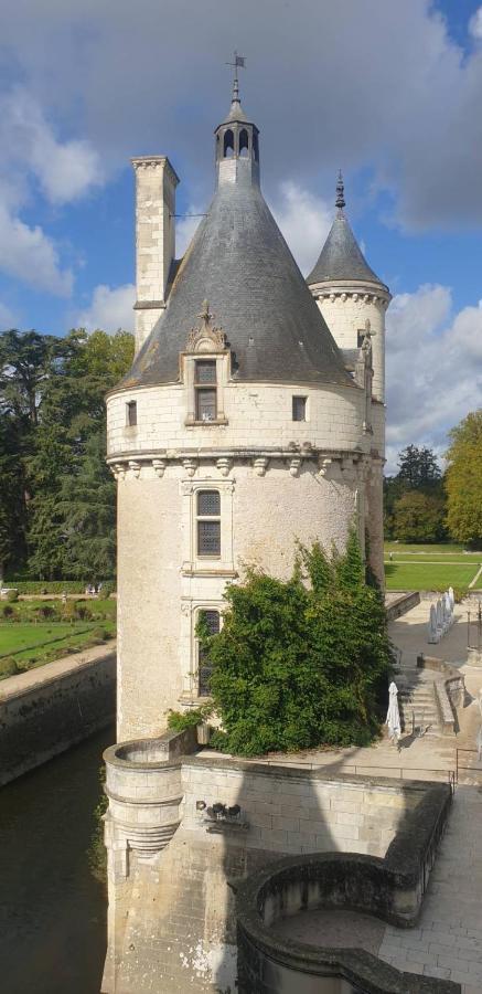 Maison D Hotes La Petite Jucherie Saint-Hippolyte  Eksteriør billede